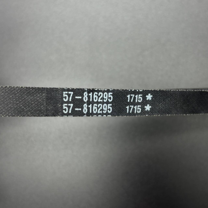 57-816295Q — 2