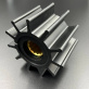 21951362 — 1