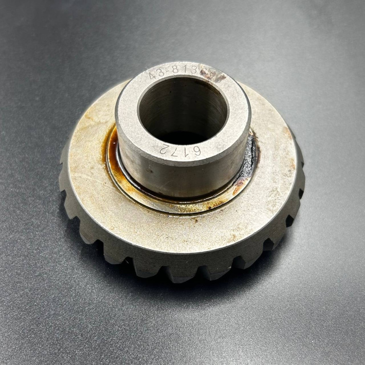 43-813695T — 2