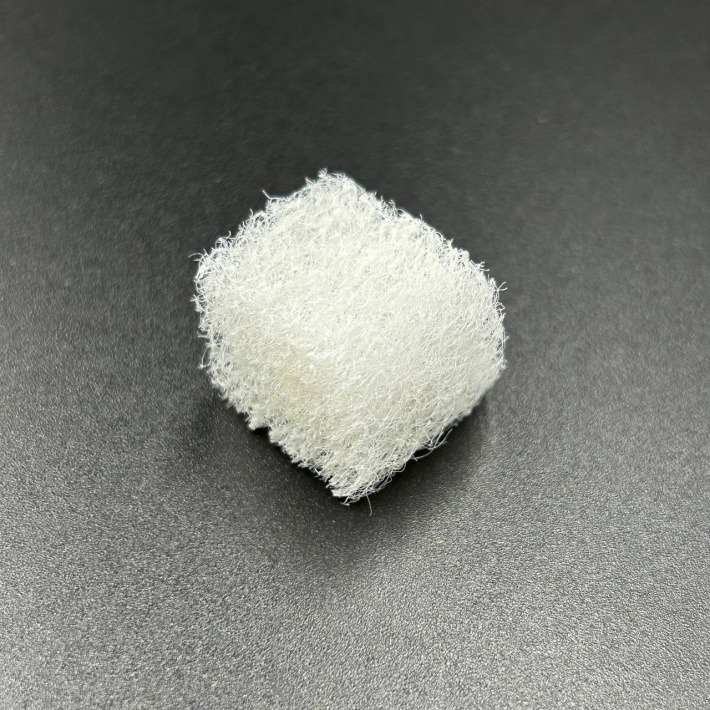 863829 — 1