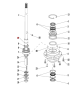 T40-31019 — 2