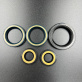 66T-W0001-01 — 3