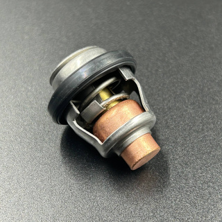Термостат Suzuki DF40-60A (60 °C) (Premarine) картинка