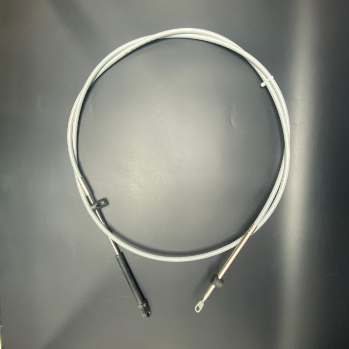 897977A16 — 1