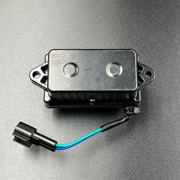 63P-81950-00 — 2
